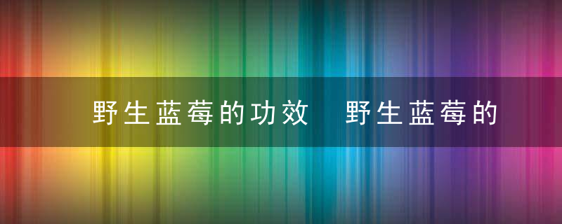 野生蓝莓的功效 野生蓝莓的吃法大全